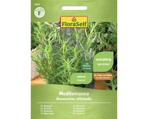 Romarin Mediterranea FloraSelf graines fixées graines de fines herbes