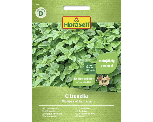 Mélisse officinale Citronella FloraSelf graines fixées graines de fines herbes