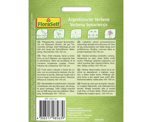 Sachet de graines de verveine argentine de FloraSelf