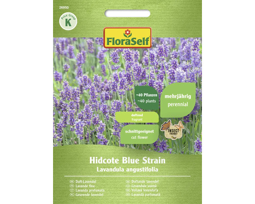 Lavande Hidcote Blue Strain FloraSelf graines fixées graines de fleurs