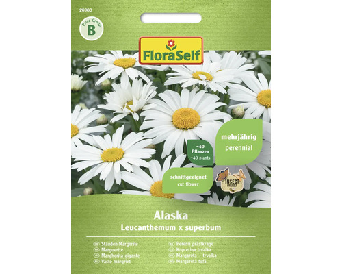 Stauden-Margerite Alaska FloraSelf Samenfestes Saatgut Blumensamen