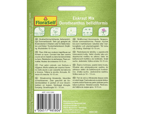 Emballage mélange de ficoïdes Dorotheanthus bellidiformis