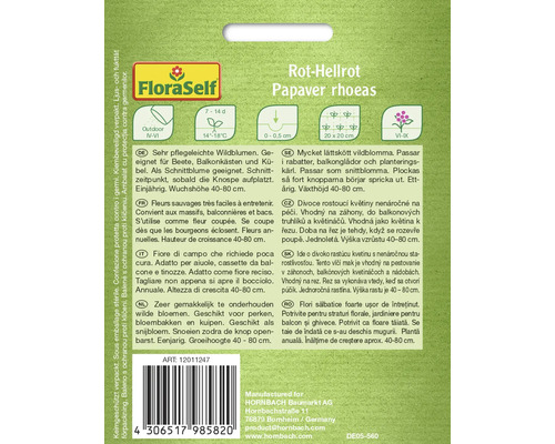 Conditionnement de graines de coquelicot rouge de l''espèce Papaver rhoeas