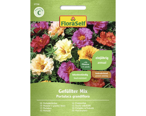 Pourpier à grandes fleurs FloraSelf graines fixées graines de fleurs mélange complet Emballage de graines de Portulaca grandiflora, mélange rempli