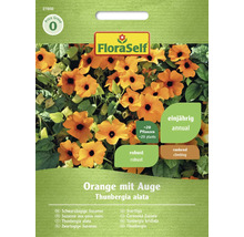 Samenpackung Schwarzäugige Susanne Orange mit Auge der Marke FloraSelf