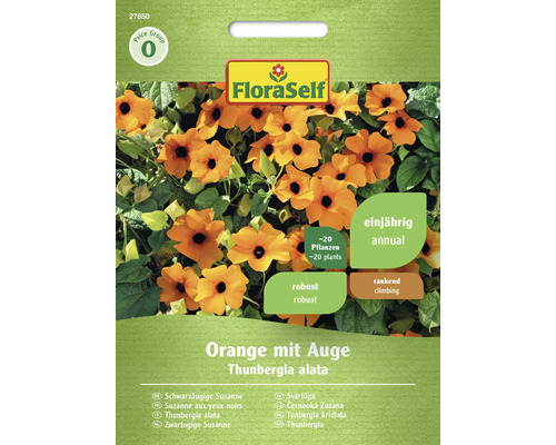 Schwarzäugige Susanne Orange mit Auge FloraSelf Samenfestes Saatgut Blumensamen