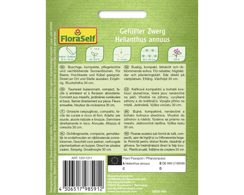 Paquet de graines d''Helianthus annuus nain rempli
