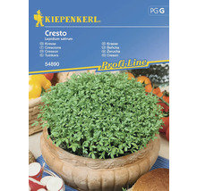 Paquet de graines de cresson Cresto Kiepenkerl