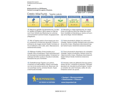 Tagetes Patula Blumensamenpackung mit Pflanzanleitung