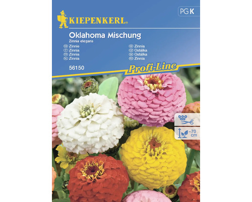 Graines de fleurs Kiepenkerl zinnia 'Mélange Oklahoma'