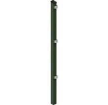 Poteaux 6 x 4 x 140 cm pour clôture de 83 cm de hauteur RAL 6005 vert mousse