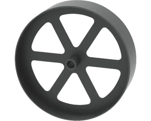 Schwarzes Gussrad mit Speichen