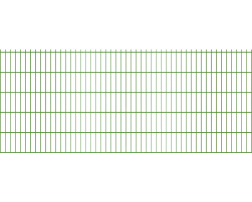 Clôture à grillage double 251 x 103 cm, vert