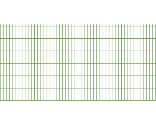 Clôture à grillage double 251x123 cm, vert