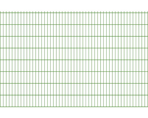 Clôture à grillage double 251x163 cm, vert