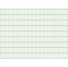 Panneau rigide double fil type 6/5/6 251 x 183 cm RAL 6005 vert mousse