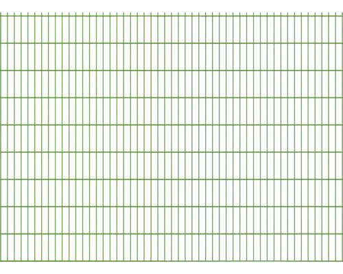 Clôture à grillage double 251x183 cm, vert