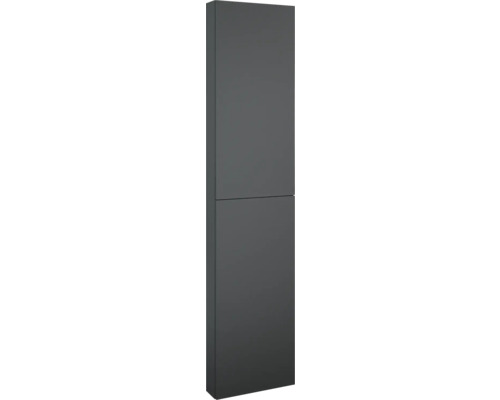 Armoire haute Jungborn lxhxp 400 x 1800 mm x 126 mm couleur de façade anthracite mat