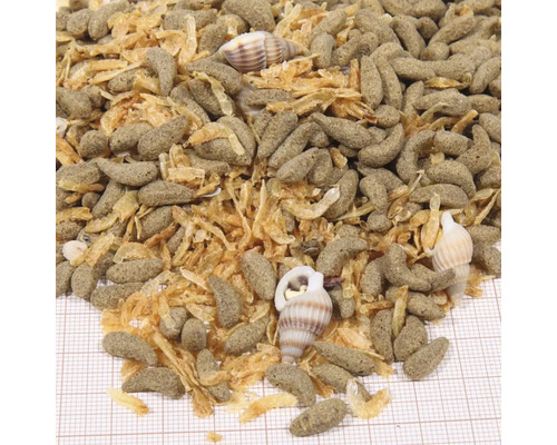 Nourriture pour poissons d''aquarium avec crevettes et coquillages
