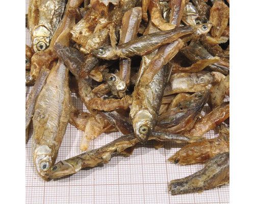 Gros plan de poissons séchés