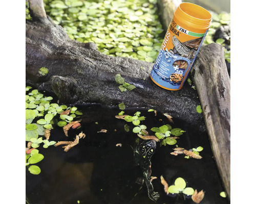 JBL ProTerra Crustarus Futter für Wasserschildkröten auf einem Baumstamm neben einem Teich