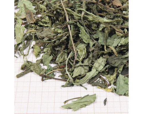 Getrocknete Pfefferminzblätter für Tee oder Gewürze.