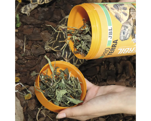 JBL Pro Terra Herbile Futter wird in eine Schale gegossen