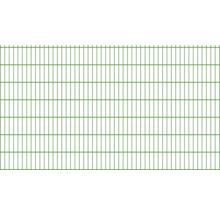 Panneau rigide double fil type 6/5/6 251 x 143 cm RAL 6005 vert mousse