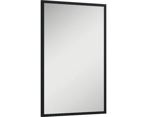 Miroir de salle de bains Jungborn 50x80x2 cm cadre noir mat