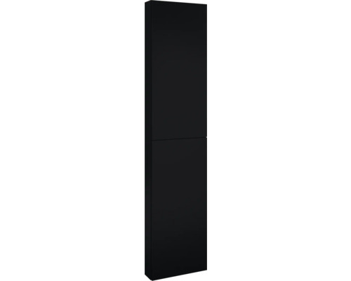 Armoire haute Jungborn lxhxp 400 x 1800 mm x 126 mm couleur de façade noir mat Armoire haute noire à deux portes pour la salle de bain