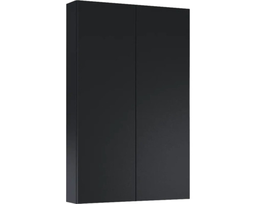 Armoire suspendue Jungborn lxhxp 500 x 800 mm x 126 mm couleur de façade noir mat Armoire à deux portes