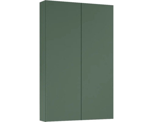 Jungborn Hängeschrank BxHxT 500 x 800 mm x 126 mm Frontfarbe forrest grün matt