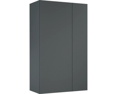 Jungborn Hängeschrank BxHxT 596 x 1000 mm x 316 mm Frontfarbe anthrazit matt