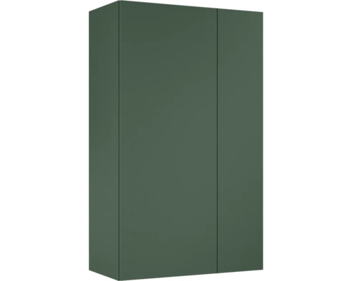 Jungborn Hängeschrank BxHxT 596 x 1000 mm x 316 mm Frontfarbe forrest grün matt