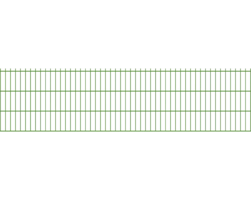 Doppelstabmatte 6/5/6 251 x 63 cm RAL 6005 moosgrün-0