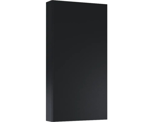 Armoire suspendue Jungborn lxhxp 400 x 800 mm x 126 mm couleur de façade noir mat Armoire de salle de bain foncée