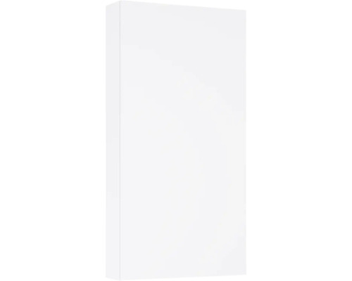 Armoire suspendue Jungborn lxhxp 400 x 800 mm x 126 mm couleur de façade blanc mat Armoire de cuisine blanche