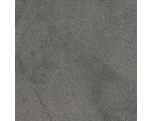 Carrelage de sol gris avec surface mouchetée