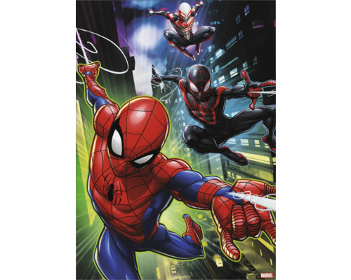 Tableau sur toile Spiderman & Friends 50x70 cm