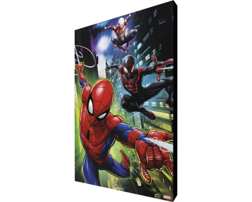 Leinwandbild mit Spider-Man-Motiven