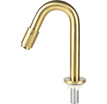Robinet d'eau froide Differnz or mat 30.416.34