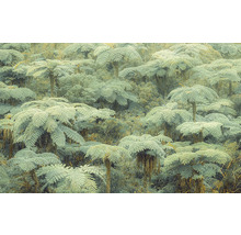 Papier peint panoramique intissé PSH106-VD4 Jungle Lands 4 pces 400 x 250 cm