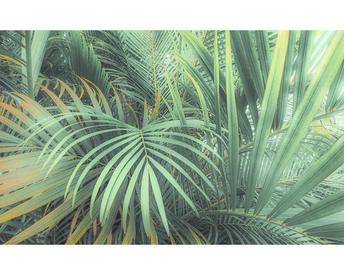 Papier peint panoramique intissé PSH107-VD4 Foggy Fern 4 pces 400 x 250 cm Papier peint panoramique intissé PSH107-VD4 Foggy Fern 4 pces 400 x 250 cm