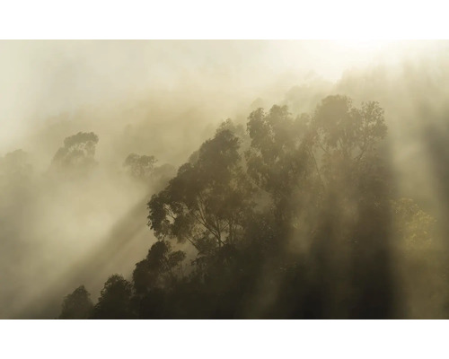 Papier peint panoramique intissé PSH113-VD4 Foggy Sunshine 4 pces 400 x 250 cm