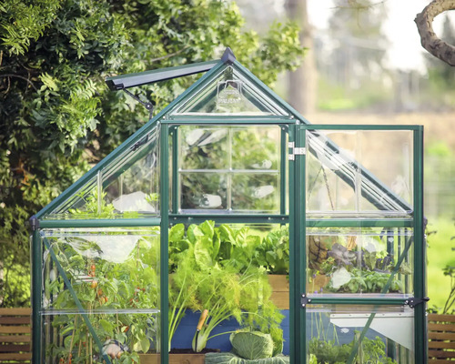 Gewächshaus mit geöffneter Tür und Pflanzen