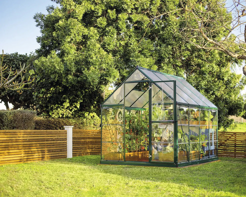 Gewächshaus im Garten mit Pflanzen