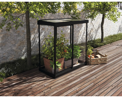 Serre Ivy plaques en polycarbonate 0,7 mm 124 x 64 cm noir