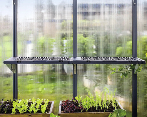 Intérieur de serre avec étagère et conteneurs de semis