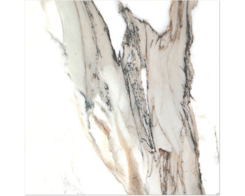 Image détaillée d''un carreau avec une structure en marbre