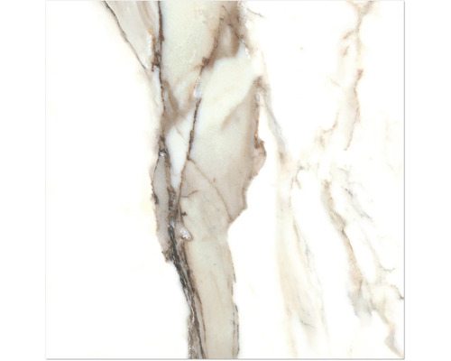 Gros plan d''un carreau de marbre avec un grain